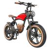 Hidoes B10 Electric Bike, 1000W Motor, 48V 13Ah Battery, 20 X4' Fat Tire, 45km/h Max Speed, 60km Range