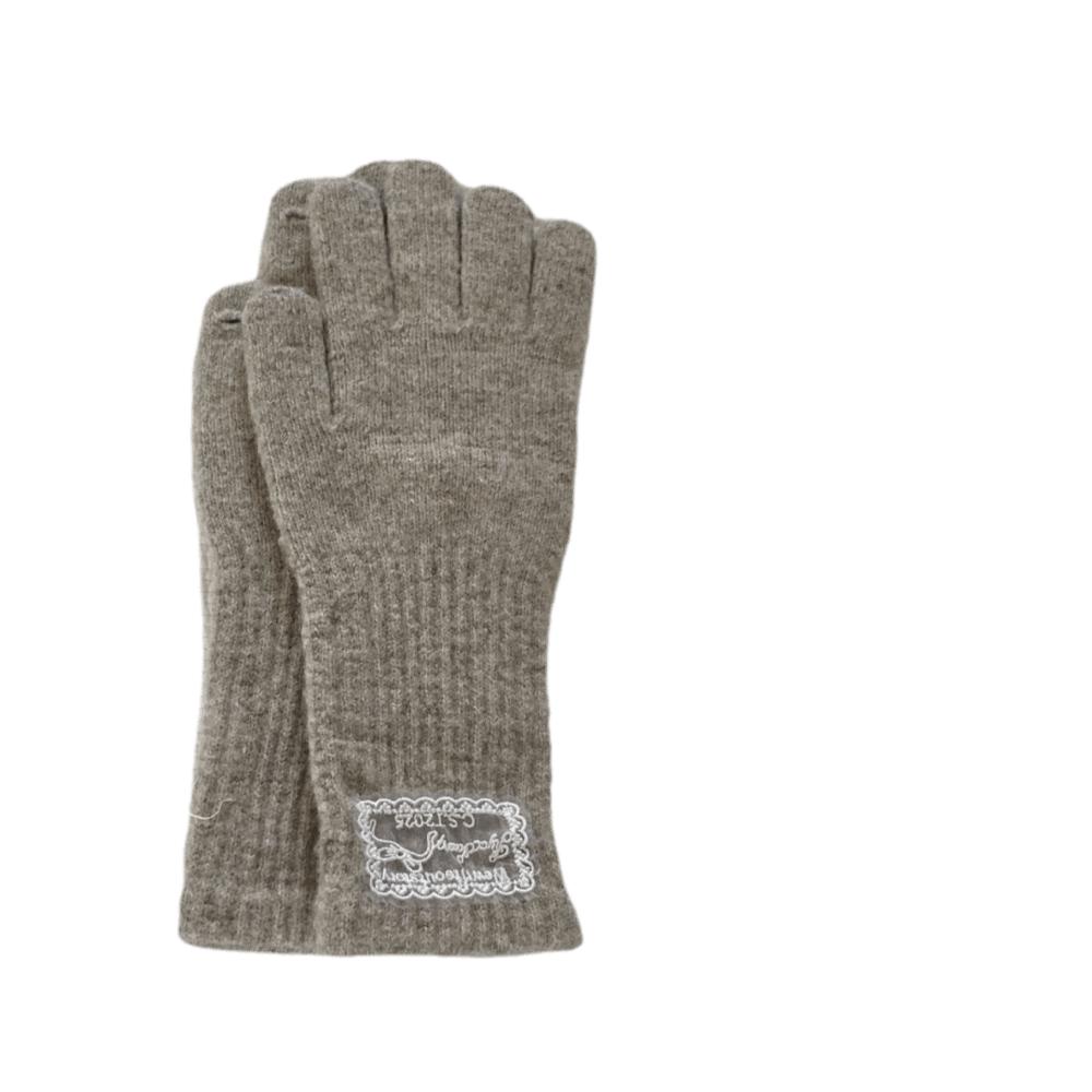 Thicken Winter Gloves Warm Five Finger Gloves Korean Style Touch Screen Gloves Women