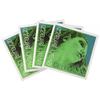 EVAH PIRAZZI Cello String Set