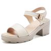 High Heels Gladiator Sandals Woman Open Head Sexy Block Heel Platform Shoes Summer Buckle Size Women Sandals