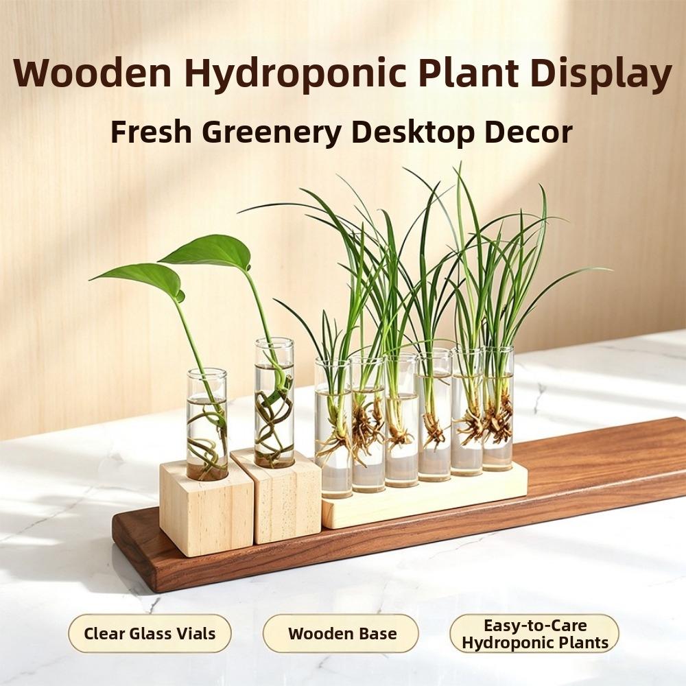 Home Decoration Hydroponic Flower Vase Minimalist Hydroponic Flowerpot Tabletop Display