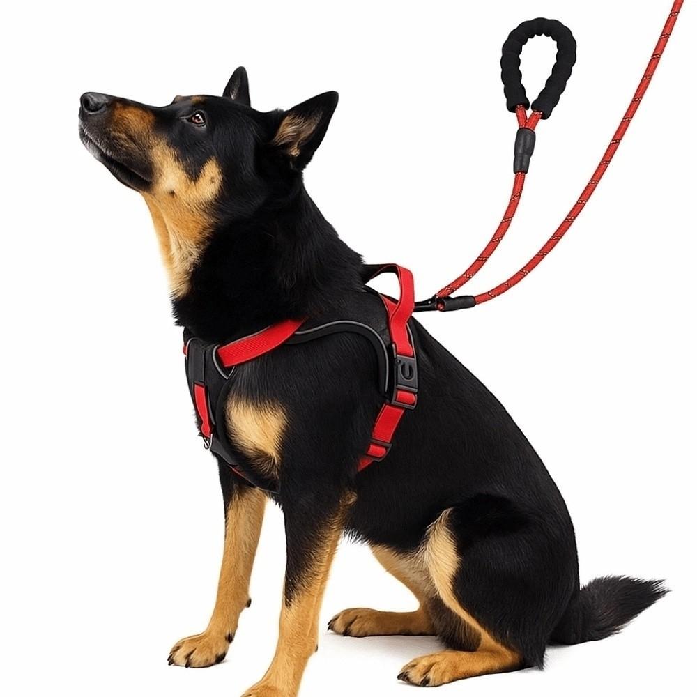 Multi-Point Adjustment Anti-Pull Dog Harness Reflective Dog Leash Dog Chest Strap Daily Walks