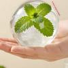 2 in 1 Foldable Ice Ball Cup Ice Cream Design Leak-Proof Ice Cube Water Bottle Easy To Demold Multi-functional