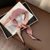 Folded Silk Scarf Women's Spring and Summer New Thin Scarf Small Scarf Versatile Fashion Commuter Color Matching Small Shawl Tied Bag Streamer