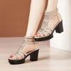 Summer Women's Breathable High Heel Shoes Women's Peep Toe Platform Chunky Heel Sandals Outdoor Zip Dress Party Heeled Shoes