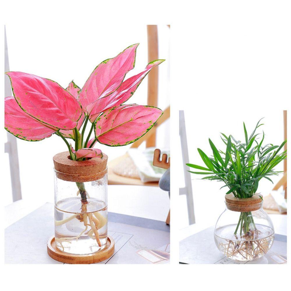 Прозрачный гидропонный цветочный горшок, мини-террариум, украшение для дома, стеклянная ваза