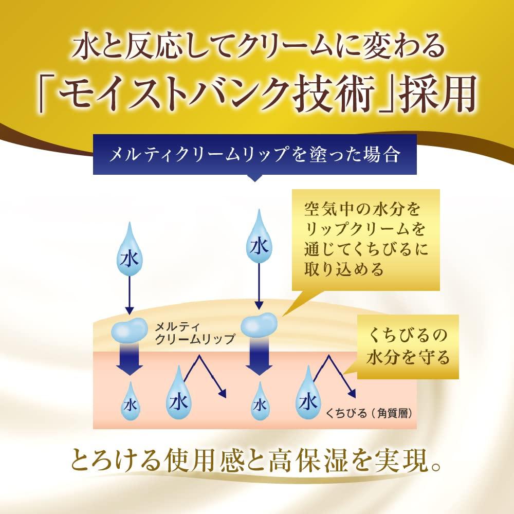 Mentholatum Premium Melty Cream Blooming Honey Scent Lip,