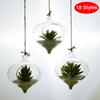 Hanging Transparent Ball Glass Flower Planter Vase Terrarium Landscape Container