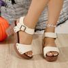 2024 Большие размеры Женская обувь Римские сандалии Уличные формальные сандалии Женские заклепки с пряжками на ремешках Толстая подошва Толстые каблуки Женские