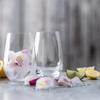 Imported SCHOTT ZWIESEL ZWIESEL Pair Tumbler Vigna 397ml Clear Set of 2 Dishwasher Safe P117875 [Regular Product]