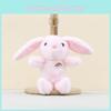 Rainbow Eared Long Rabbit Keyring Soft Stuffed Toy For Kids And Teens Cotton Pp