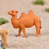 5 шт./компл., миниатюрные фигурки верблюда, животные, ремесло из смолы, детские игрушки, настольные украшения, садовый микропейзаж, рождественские украшения