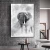 Black and White Elephant Canvas Painting Wild Animal Modern Wall Art Pictures for Living Room Poster and Prints Home Decor