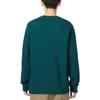 THE NORTH FACE Sweatshirts Men's Green Crew Neck Moderate Regular NF0A7QT2-D7V