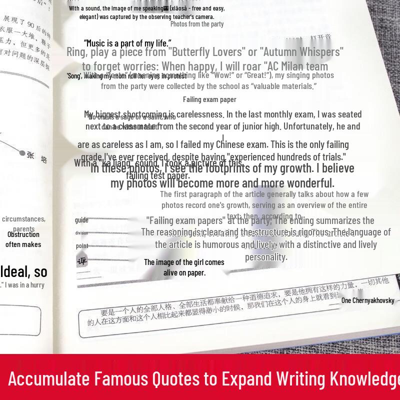 Student Essay & Composition Writing Guides