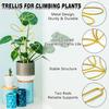 Metal Plant Trellis Leaf Shape Plant Support Frame Planter Insert Wire Trellis for Vine Climbing Plants Indoor Outdoor Potted Plants