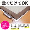 Towa Sangyo Heat Insulation Sheet, Energy-Saving Heat Sheet, for 2 Tatami Mats (Just Lay It Out)