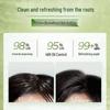 Schwarzkopf Ginger Essence Oil Control Shampoo