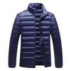 Men's Autumn and Winter New Stand-up Collar Down Cotton Clothes White Duck Down Short Thermal Jacket Men