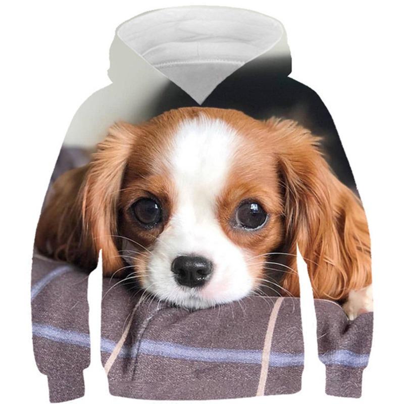 Осенние толстовки с 3D-принтом в виде животных, модные повседневные спортивные толстовки с длинным рукавом для детей и мальчиков