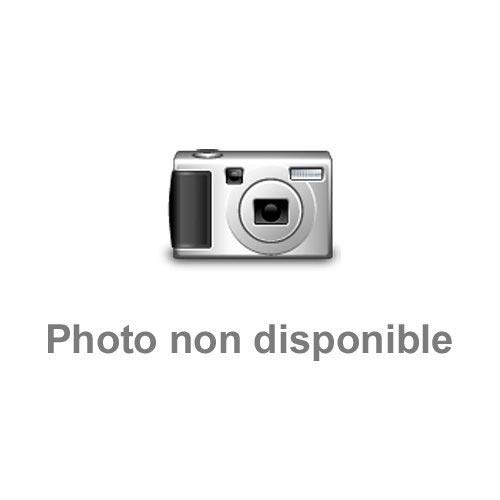Часы P867500 C32 Regular Import Black [Pierre Lanier]