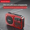 Портативное радио и мультимедийный плеер Newmine N123 (Китайская версия)