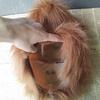 Chinese mythological monkey latex mask