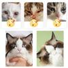 Pets Eye Comb Dogs Tear Stain Remover Brush Pet Eye Cleaning Brush Cleaning Accessories Removing Crust Mucus for Small Cat Dog