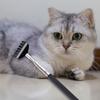 Выдвижная чесалка для спины, дразнилка для кошек, 26", выдвижная головка, инструмент для чесания спины и ног, интерактивная игрушка для игривых котят