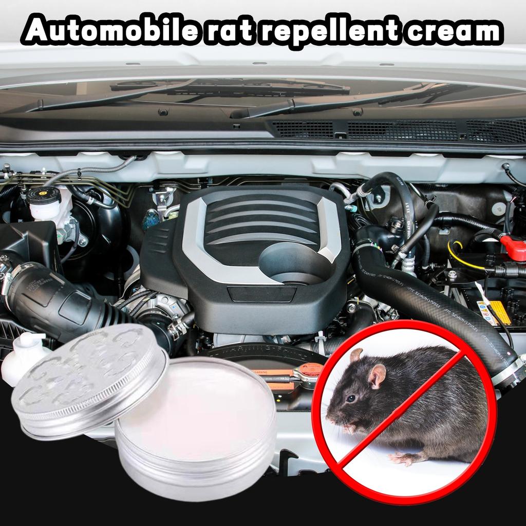 Peppermint Oil To Repel Mice And Rats, Rodent Mouse Natural Rat And Mice Deterrent Indoor Outdoor Safe For Pet Human