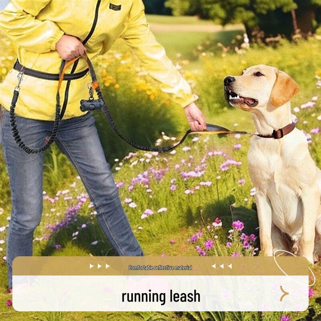 Large Dog Running Waist Leash – Convenient Hands-Free Pet Leash