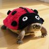 Cartoon Turtle Sweater Knitted Pet Turtle Outfit Fashion Pet Tortoise Clothes  Halloween Party