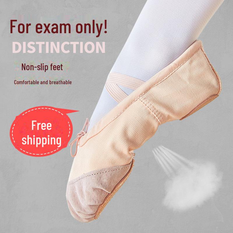 Girls' Soft Sole Ballet Shoes - Leather Dance Training Shoes for Kids & Adults