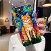 Прозрачный чехол для Apple iPhone 12 11 13 Pro Max mini XS X XR 6 7 8 Plus SE Чехлы Кот Ван Гог Звездная ночь Картина маслом