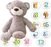 Product with Gift First Toy Bear with Photo Inspected In My Baby List Plush Baby Shower Gift JP-SAKURA [Authentic Wrapping] Set, Japan, Toy, Gift,