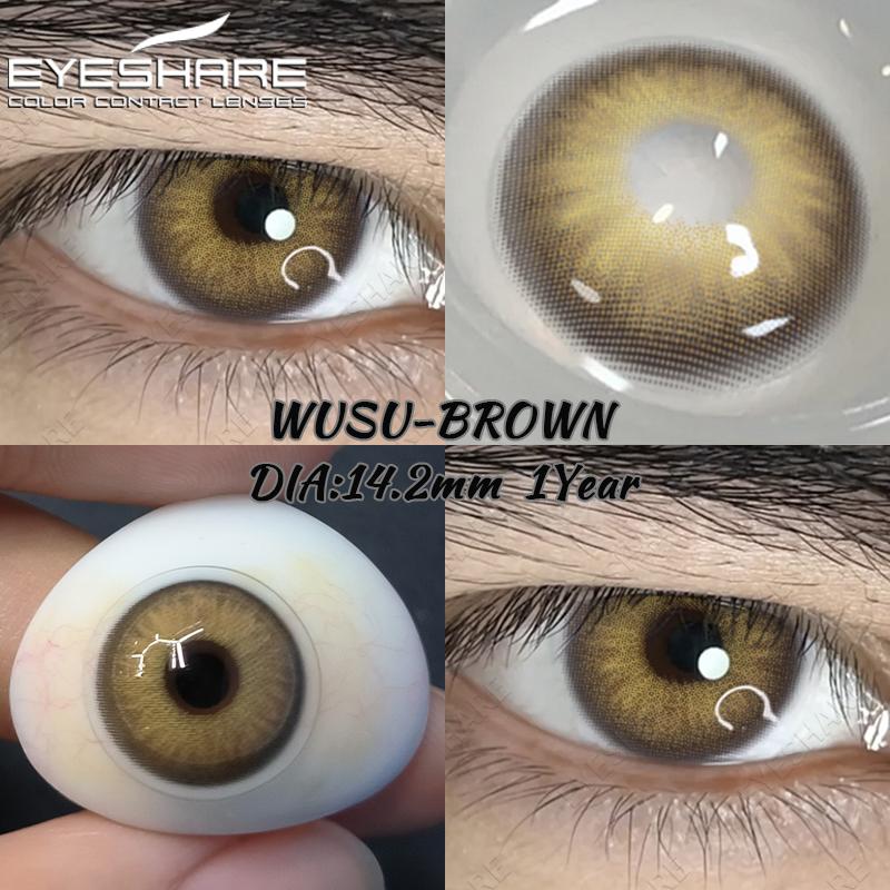 Eyeshare 2pcs Natural Colored Contact Lens for Eyes Gray Colored Lens Eyes Beautiful Pupil Yearly Makeup Green Eye Contacts Lens
