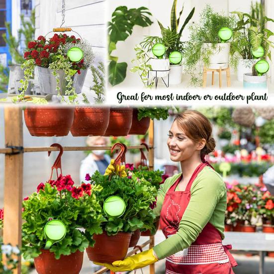 12 шт., прозрачные автоматические шарики для полива растений, простая установка, легкое заполнение, домашние и уличные растения, самостоятельные