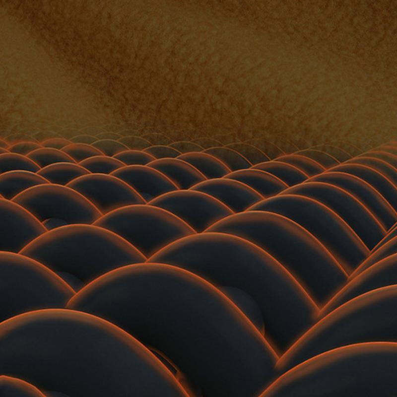 Ветрозащитный чехол для лица, шейный платок, шарф, головной убор, флисовый капюшон, утеплитель для шеи, лыжная маска, ветрозащитный зимний чехол для лица