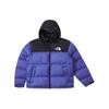 SS24 UE 1996Nuptse 700 Мужская NF0A3C8D-QBO