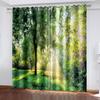 Spring and Autumn Forest Trees Scenic Sunshade Curtains 2 Panel Deluxe Living Room Bedroom Home Decor Curtains