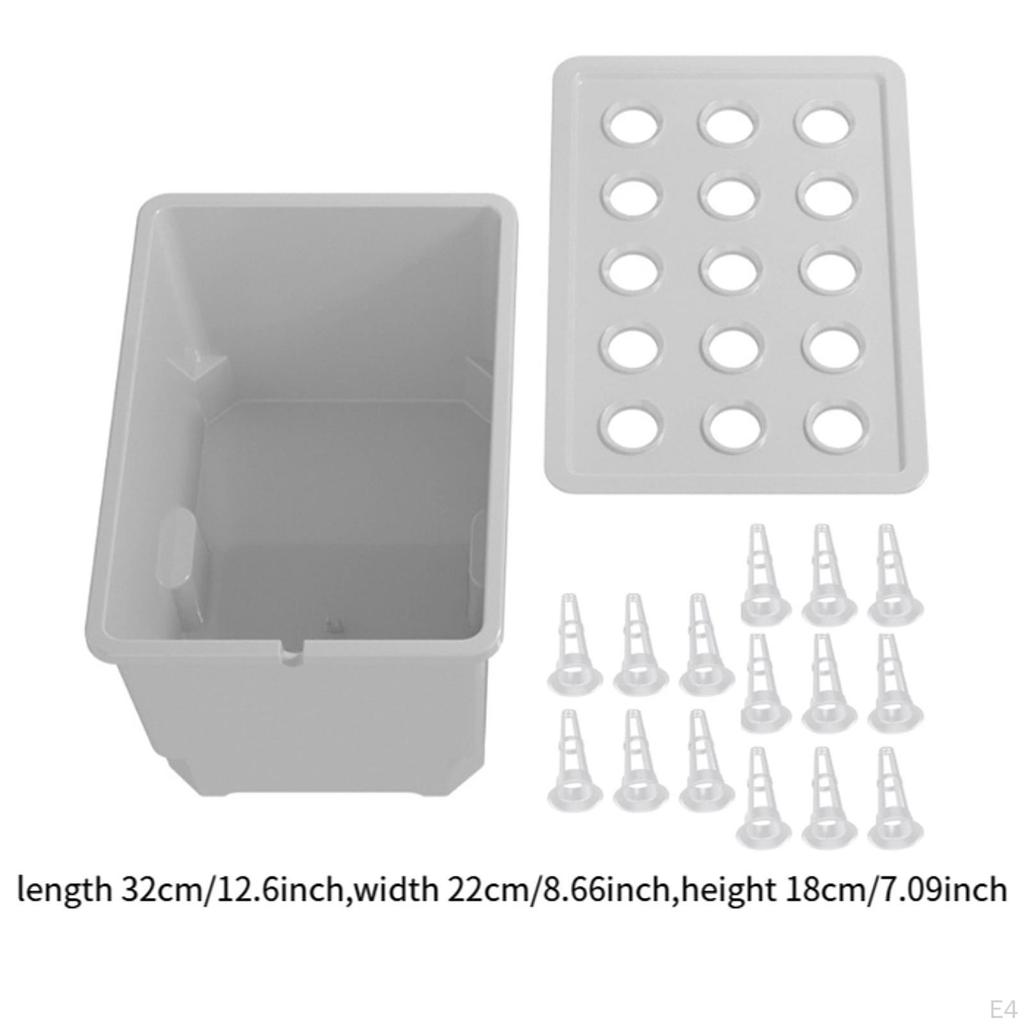 Garden Set with Watering Container And Practical Division for Easy Care Kitchen, Classroom