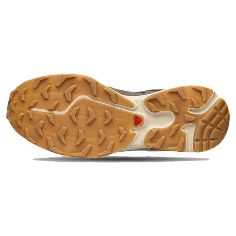 SALOMON Кроссовки XT 6 'Expense Leather' 472949