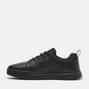 Ботинки Maple Grove Low Lace Up Sneaker schwarz