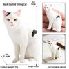 Трансграничная когнитивная фигурка кошки: Короткошерстный, Черно-белый котенок, Модель кошки персидской и рэгдолл