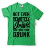 St Patricks Day Shirt Shenanigans Clover Funny Irish Tshirt Ireland Funny Shirt