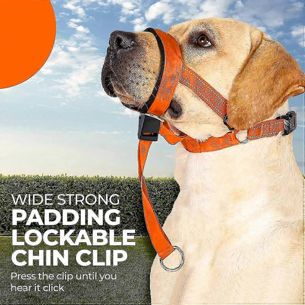 Dog Head Halter With Safety Strap, Dog Head Collar With Reflective Strap, No-pull Dog Collar Adjustable Dog Harness Training-In Stock 25-26