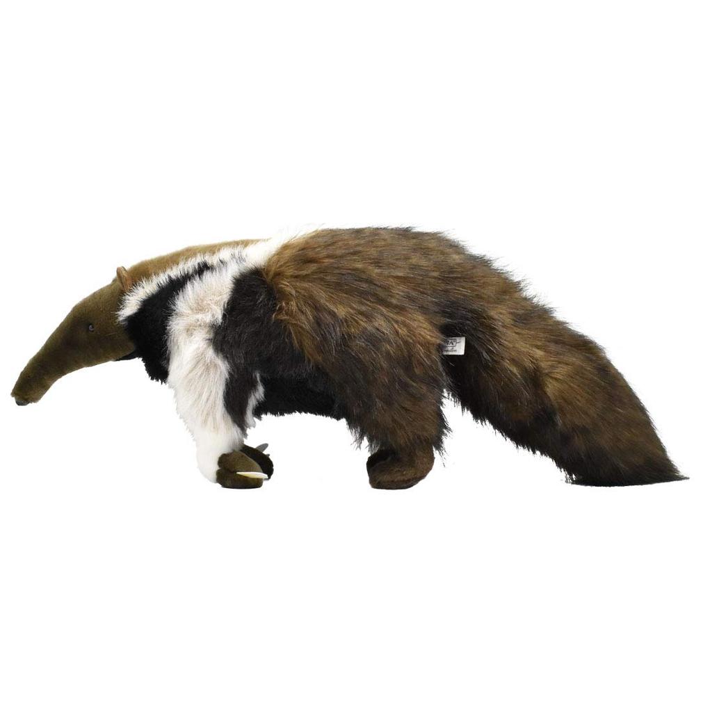 Гигантский муравьед 7 №3987