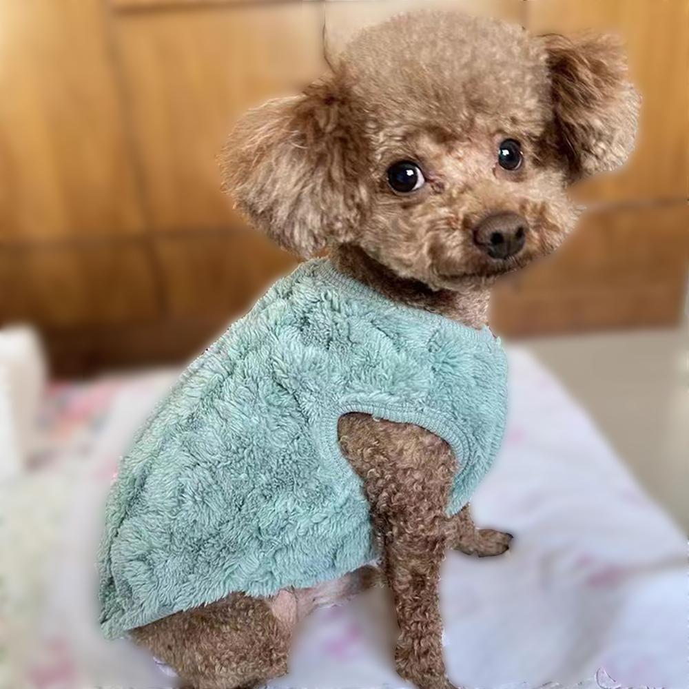 Winter Dog Clothes Pet Cat Autumn Twisted Double-faced Fleece Vest Clothing