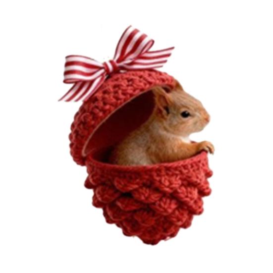 Лесные животные Желуди Украшения Акриловые Уютный лес Рождественские украшения 2D Акриловый Вязаный Сосновая шишка Животное Подвесное украшение для дома Вечеринки