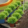 5 шт./10 шт./20 шт. Искусственное пластиковое 7-ветвистое травянистое растение Зеленая трава Имитация Искусственное растение Домашнее украшение Садоводство Трава Уличная